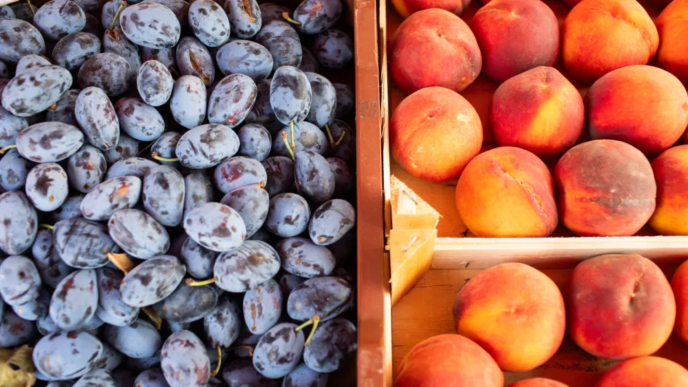 sadje &ndash; slive in breskve - 15.09.2023 &ndash; Ljubljanska centralna tržnica - //FOTO: Bojan Velikonja