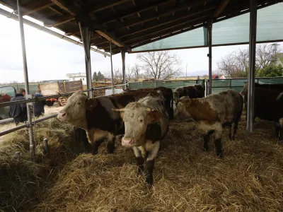 &nbsp; &nbsp; &nbsp;&nbsp;