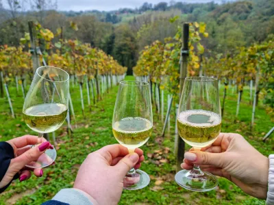 Svoj prihod na festival so napovedali najbolj&scaron;i in najbolj znani hrva&scaron;ki vinarji. F Paula Kovačić