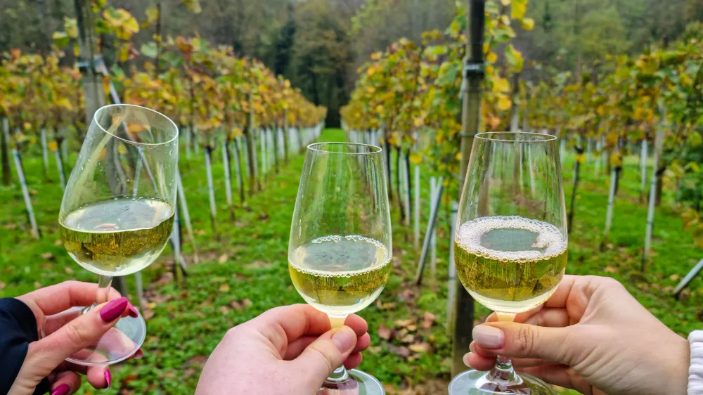 Svoj prihod na festival so napovedali najbolj&scaron;i in najbolj znani hrva&scaron;ki vinarji. F Paula Kovačić