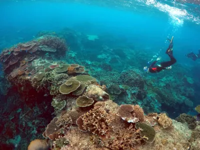 Peter Gash (L), owner and manager of the Lady Elliot Island Eco Resort, snorkels with Oliver Lanyon and Lewis Marshall, Senior Rangers in the Great Barrier Reef region for the Queenlsand Parks and Wildlife Service, during an inspection of the reef's condition in an area called the 'Coral Gardens' located at Lady Elliot Island and 80 kilometers north-east from the town of Bundaberg in Queensland, Australia, June 11, 2015. UNESCO World Heritage delegates recently snorkeled on Australia's Great Barrier Reef, thousands of coral reefs, which stretch over 2,000 km off the northeast coast. Surrounded by manta rays, dolphins and reef sharks, their mission was to check the health of the world's largest living ecosystem, which brings in billions of dollars a year in tourism. Some coral has been badly damaged and animal species, including dugong and large green turtles, are threatened. UNESCO will say on Wednesday whether it will place the reef on a list of endangered World Heritage sites, a move the Australian government wants to avoid at all costs, having lobbied hard overseas. Earlier this year, UNESCO said the reef's outlook was "poor". Picture taken June 11, 2015.   REUTERS/David Gray - RTX1IFF7