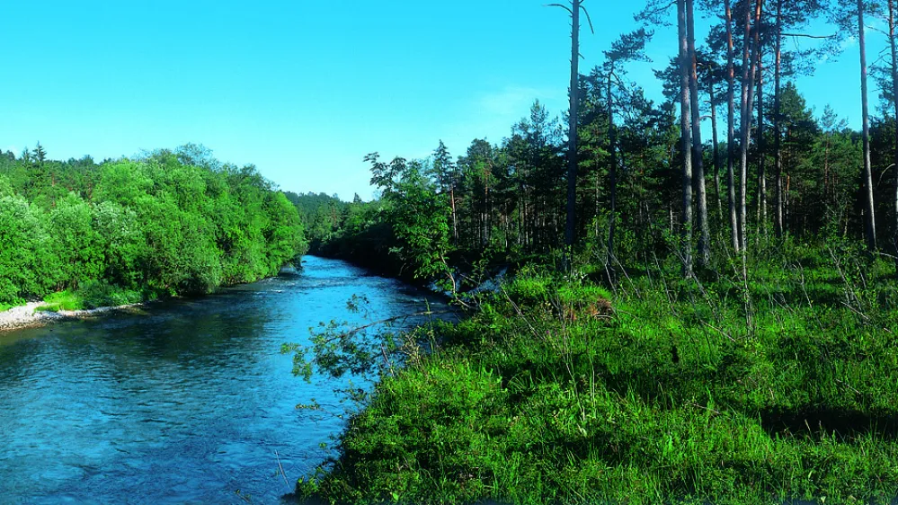 Sava Dolinka, reka narava