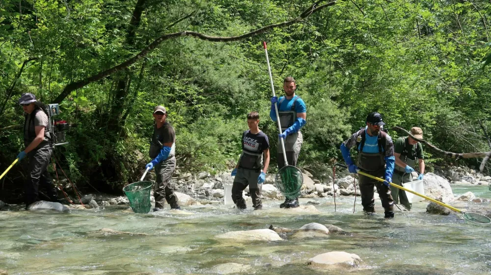 Zavod za ribi&scaron;tvo Slovenije, monitoring rib v reki Nadiži / Foto: Nata&scaron;a Bucik Ozebek