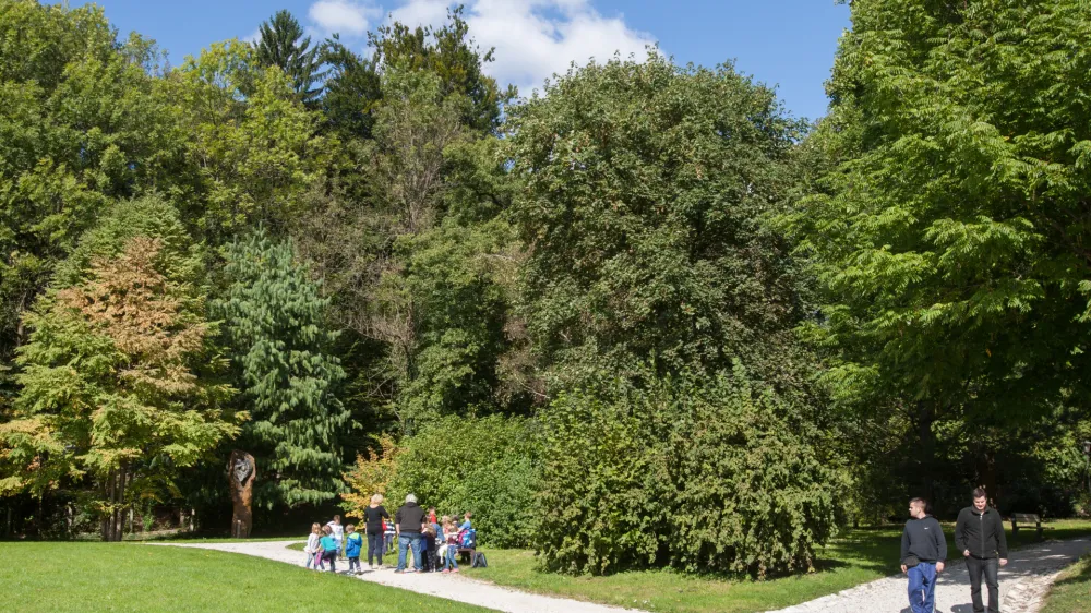- 28.09.2015 - Krajinski park - območje Tivolija, Rožnika in &Scaron;i&scaron;enskega hriba - Park Tivoli -   //FOTO: Maja Marko