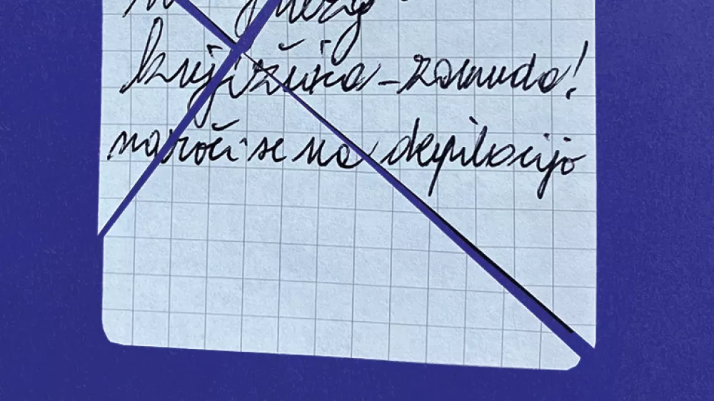 Suzana Tratnik: &Scaron;karje