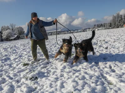 12.12.2022 - Gorenja vas - Reteče v Občini &Scaron;kofja Loka - prvi sneg - sprehajanje psov - pes - zimaFoto: Luka Cjuha