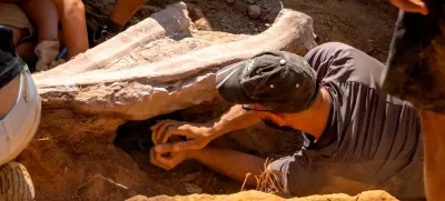 A view during excavation works of a sequence of dorsal ribs of a sauropod dinosaur in the Monte Agudo fossil site, in Pombal, Portugal in this handout taken August 2022. Instituto Dom Luiz (Faculty of Sciences of the University of Lisbon) /Handout via REUTERS  THIS IMAGE HAS BEEN SUPPLIED BY A THIRD PARTY. MANDATORY CREDIT. NO RESALES. NO ARCHIVES