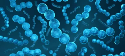 3D-ilustracija probiotika Streptococcus bacteria