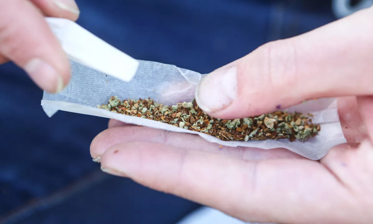 Študija: Uporaba konoplje proti bolečini ali depresiji povečuje tveganje za paranojo