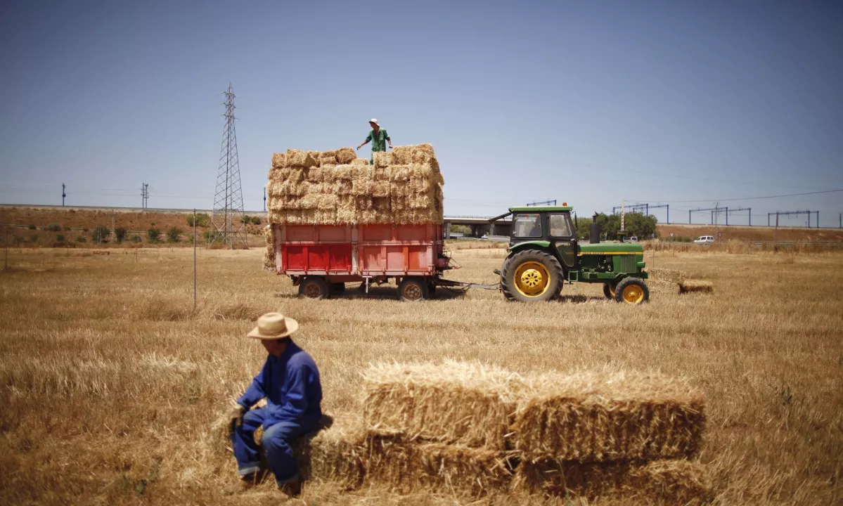 V Grčiji več kot tisoč kmetov osumljenih goljufanja z EU subvencijami