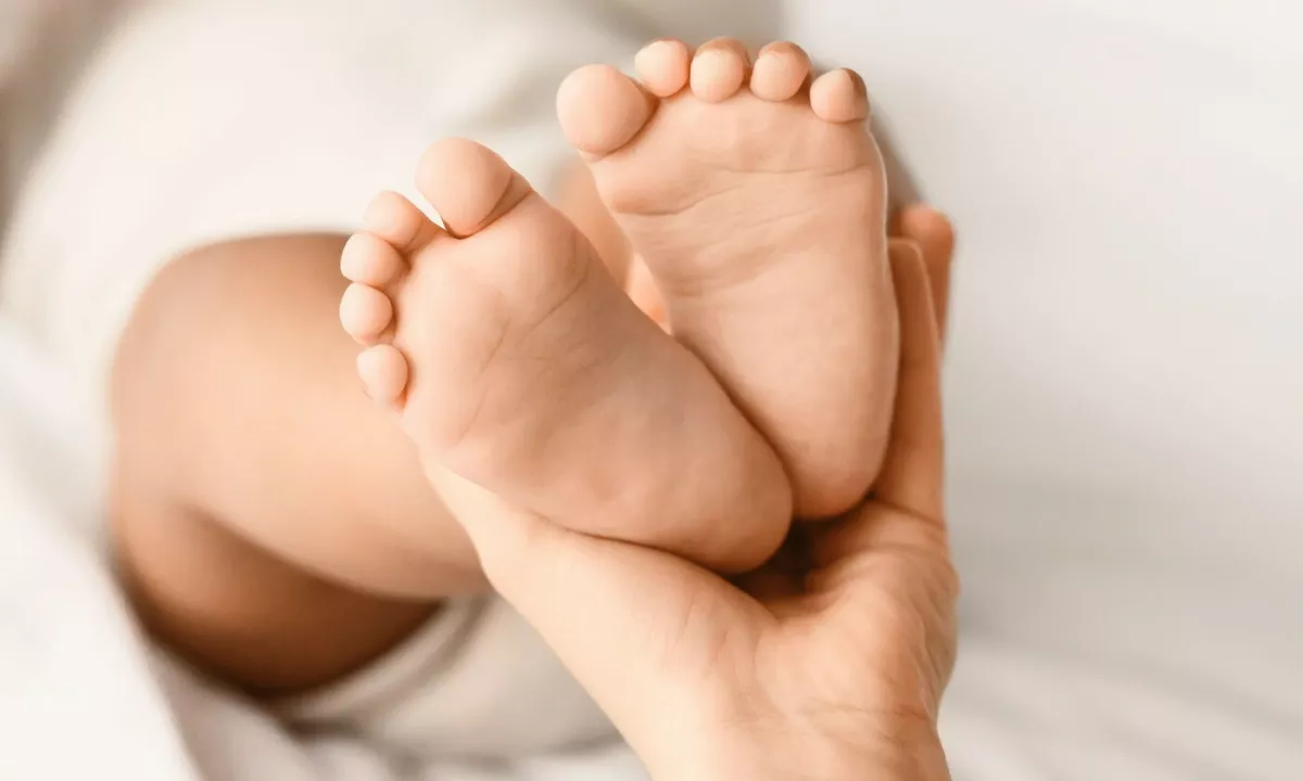 Agencija in stečajna upraviteljica vsak na svoji strani, starši pa vmes