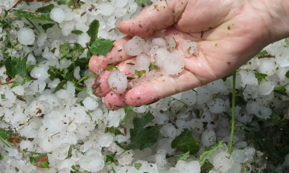Prihajajo močnejše nevihte s točo, ARSO vzhod obarval oranžno
