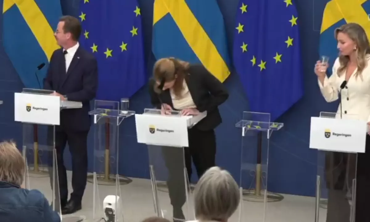 Švedska ministrica za zdravje Elisabet Lann omedlela na tiskovni konferenci