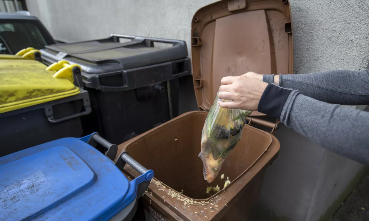 V Sloveniji letno zavržemo 79 kilogramov hrane na prebivalca