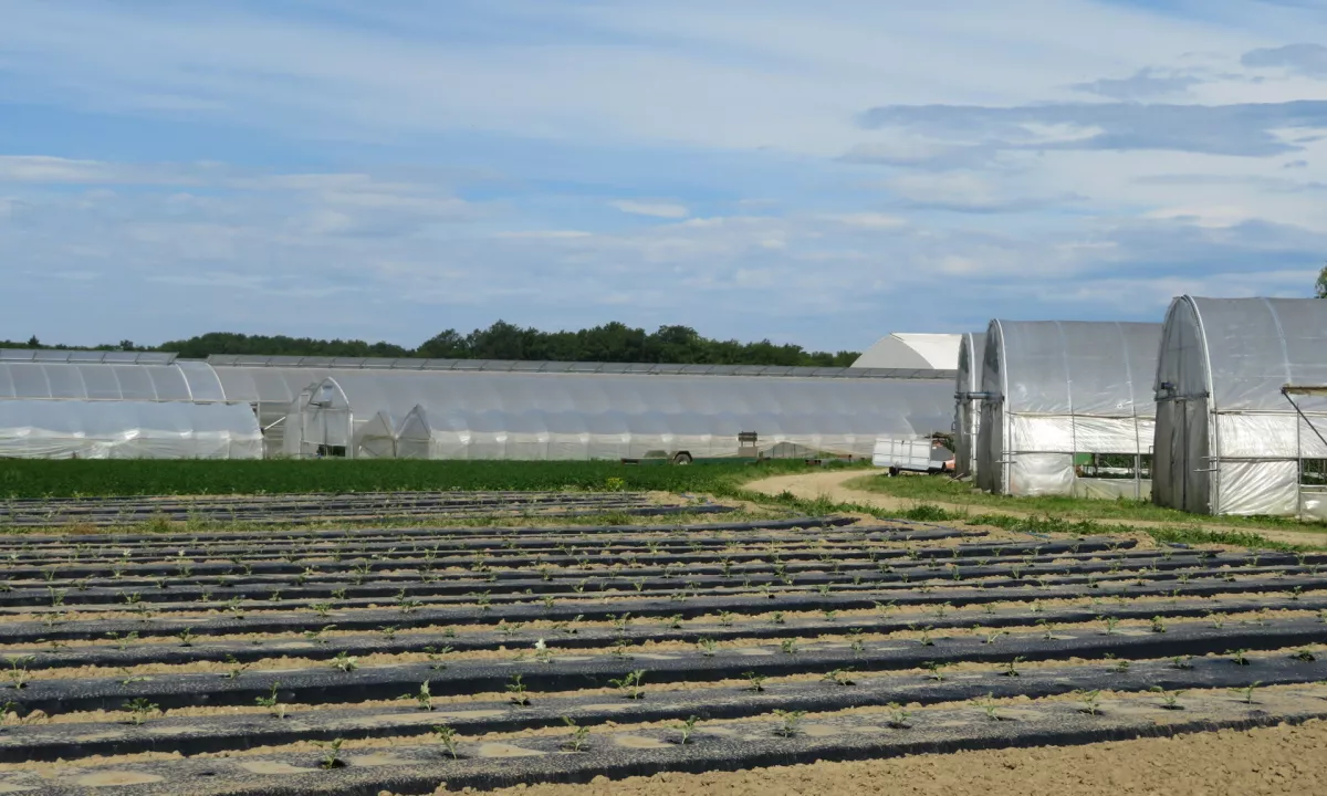 Inšpekcija ugotovila nepravilnosti pri rabi vode v kmetijstvu