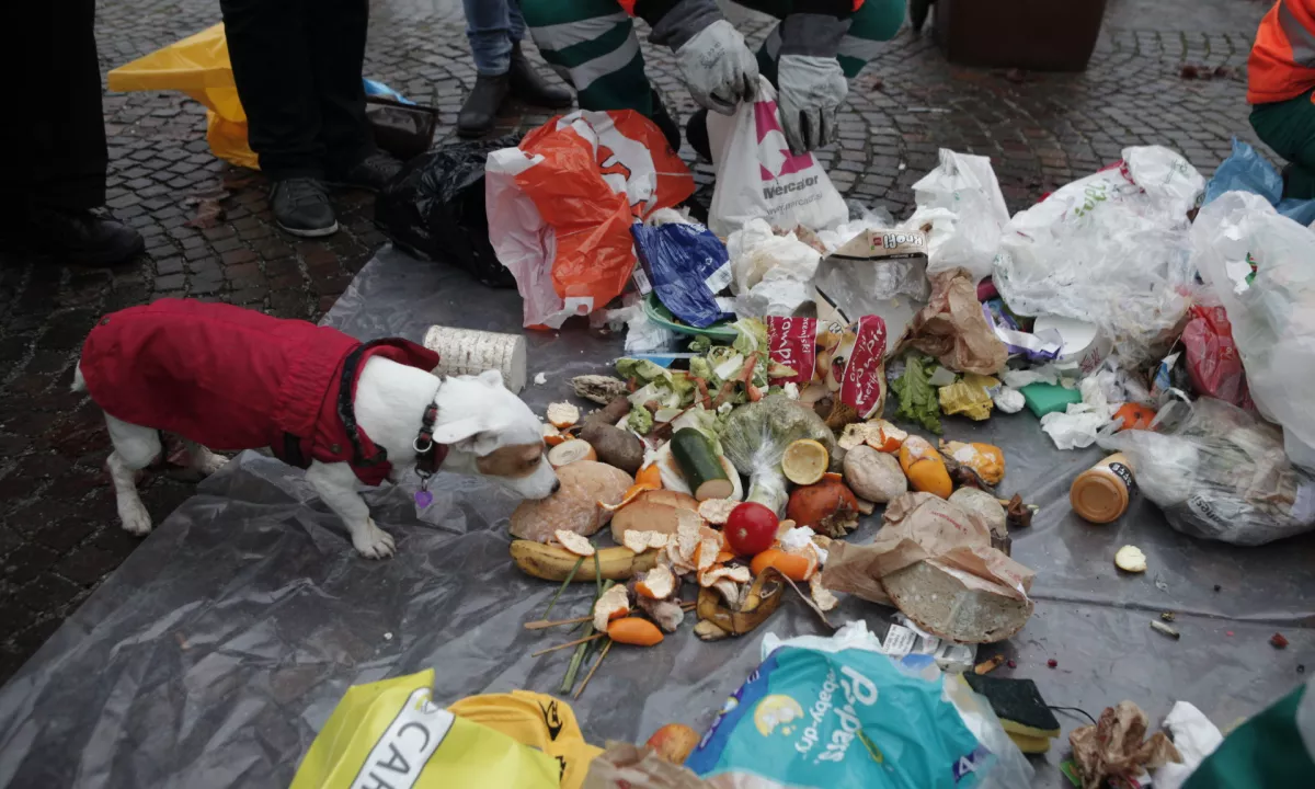 V Sloveniji lani zavrženo rekordnih 168.318 ton hrane