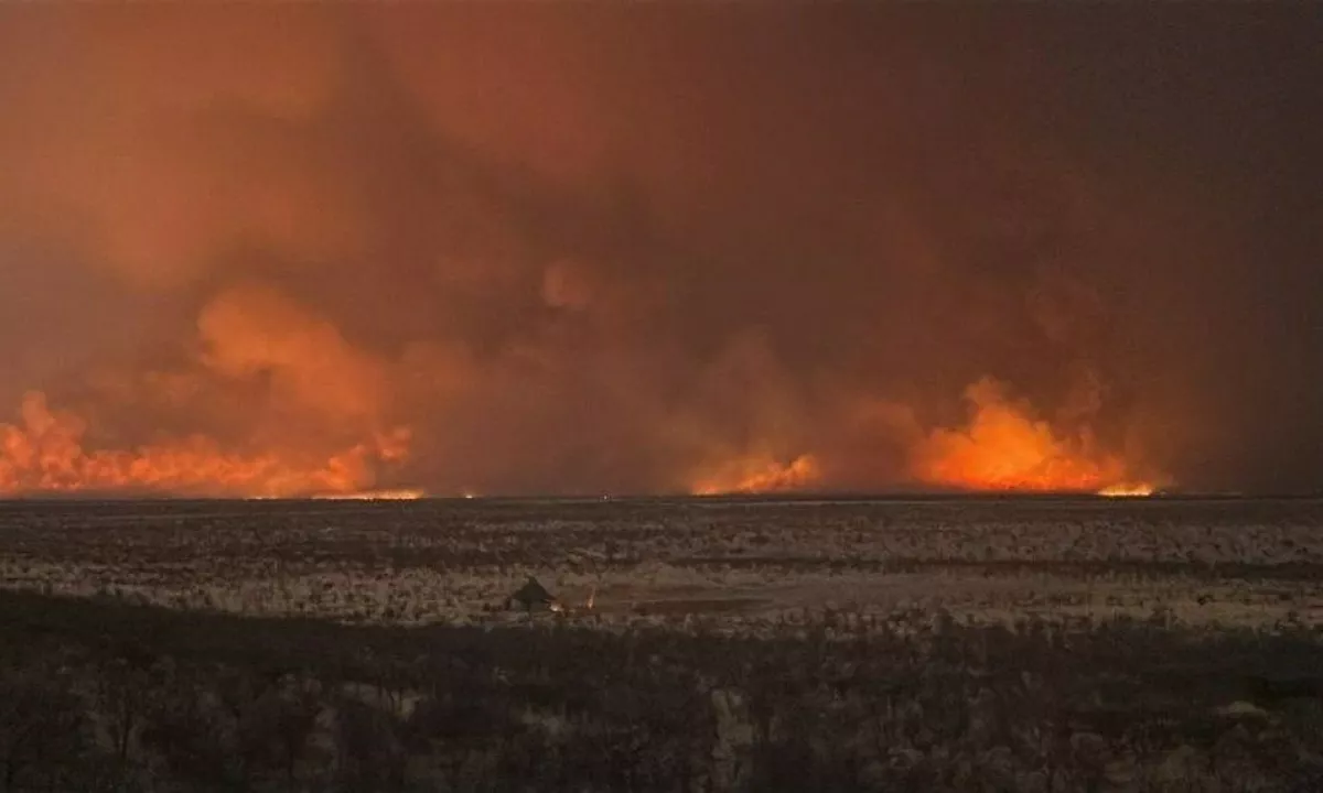 Obsežen požar uničil tretjino namibijskega narodnega parka Etosha