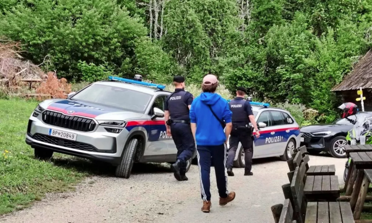 Vodjo racije na Peršmanovi domačiji začasno premestili