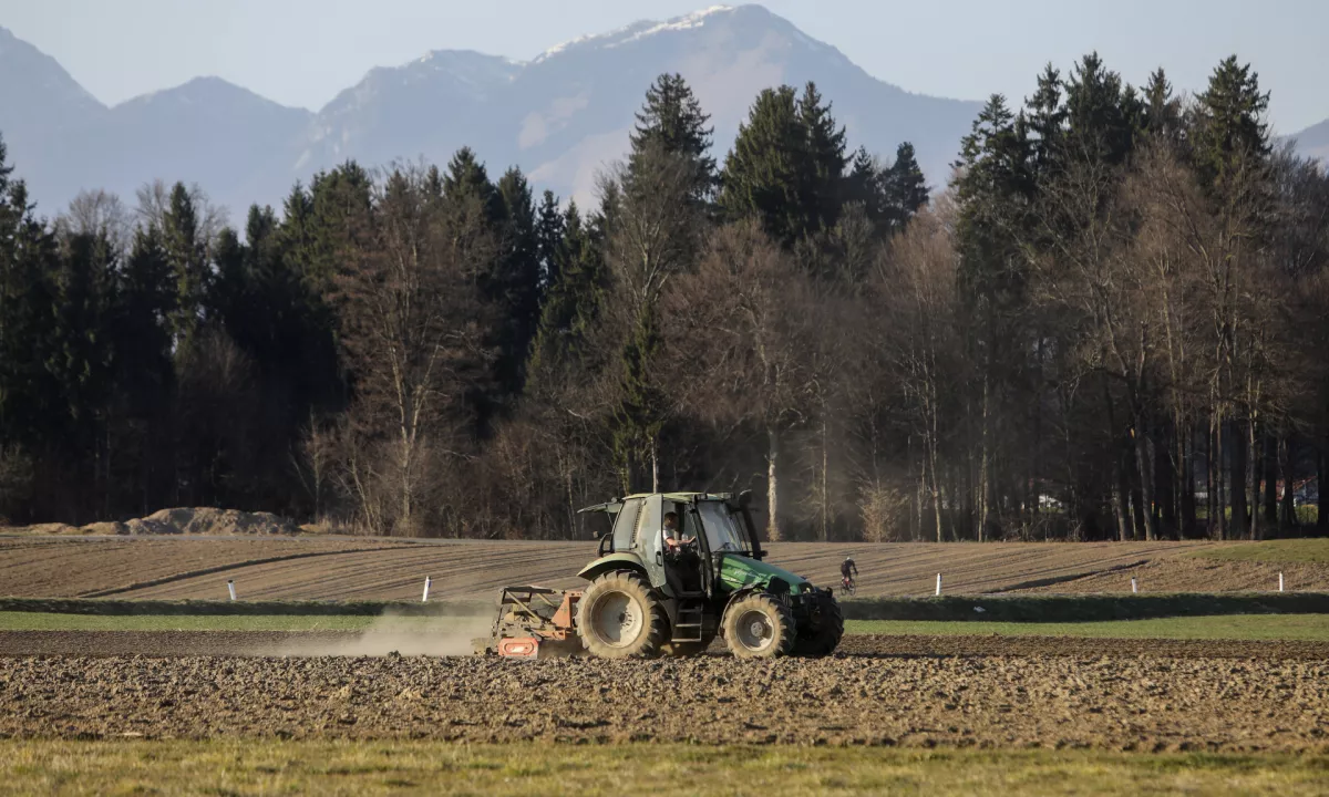 Slovenske kmetijske organizacije opozarjajo na krizo na trgu krompirja