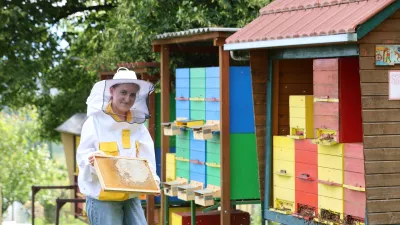 Karin Glazer čebelarka / Foto: Saso Bizjak