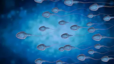 3d rendering group of sperms