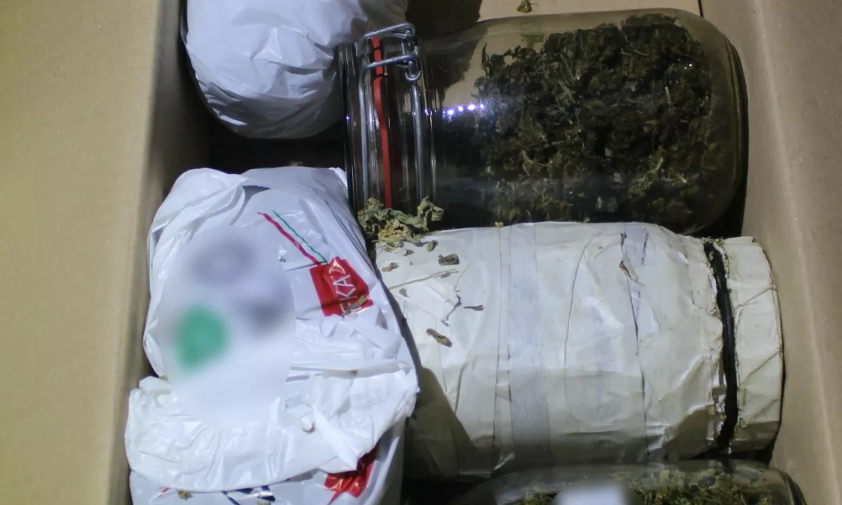 Na Goriškem zasegli večjo količino prepovedanih drog in prirejena prostora za gojenje konoplje