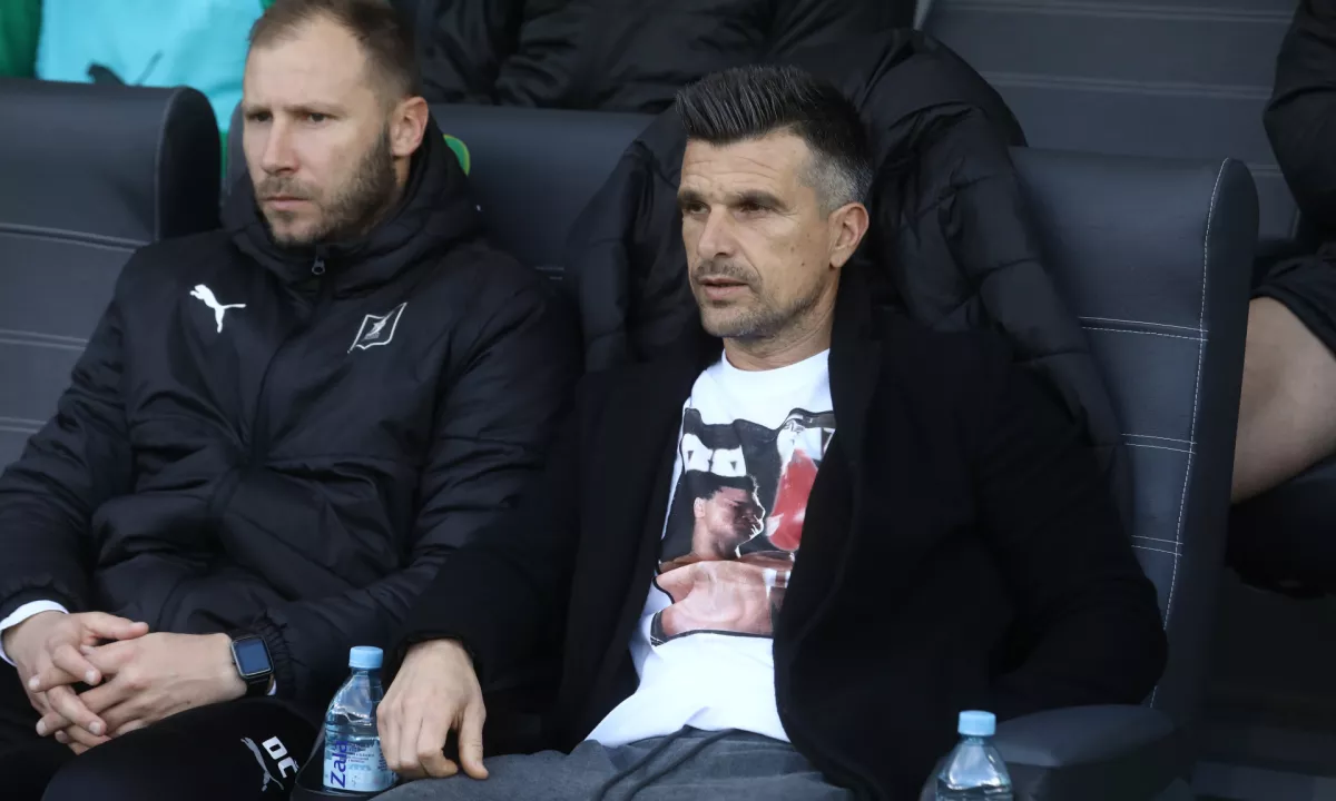 Zoran Zeljković se vrača