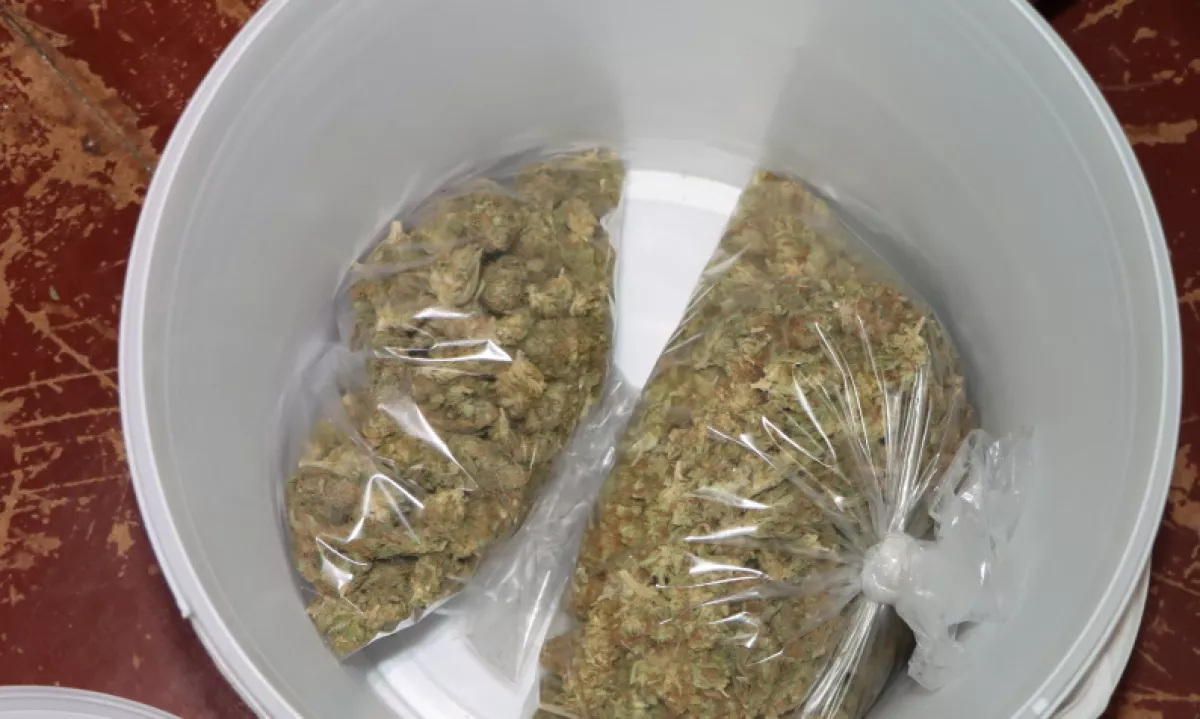 Petletnik v Franciji s konopljo v vrtec, starši za zapahi