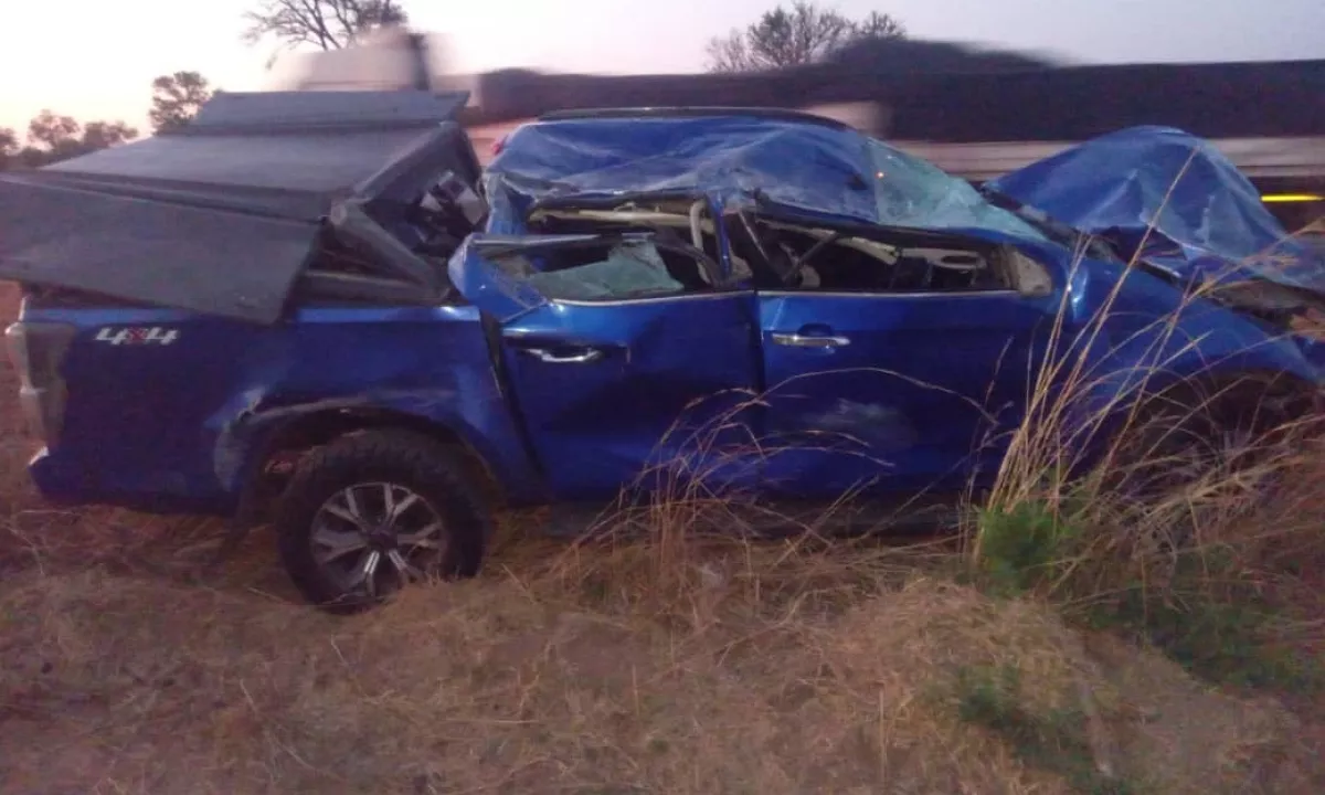 Zimbabvejski poslanec Desire Moyo umrl v trčenju s slonom