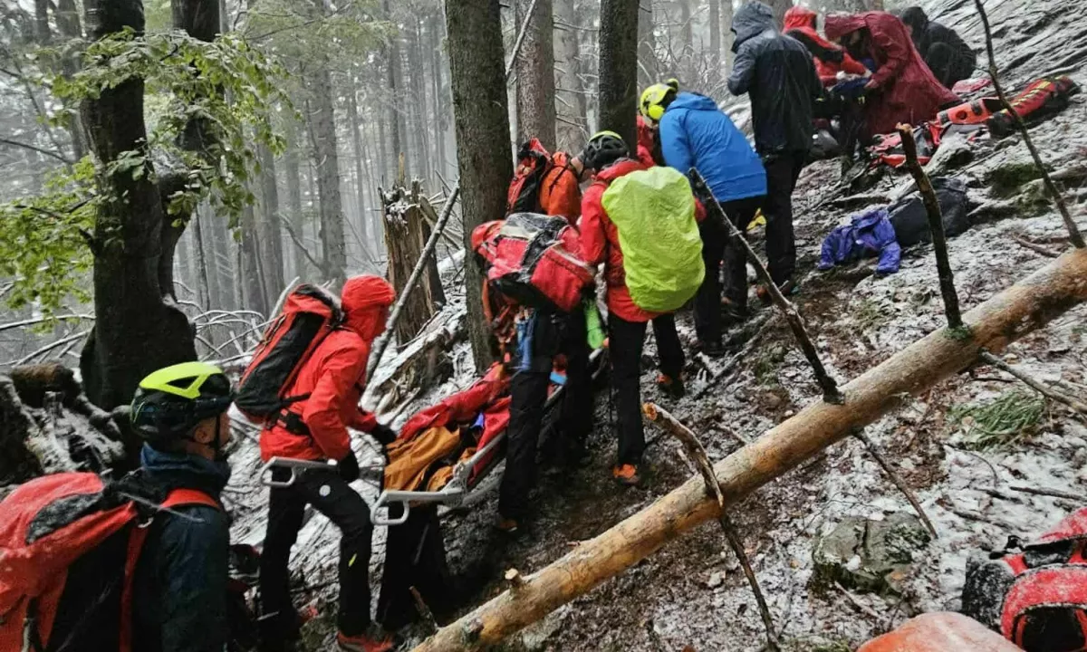 Umrla planinka, na katero je padlo drevo