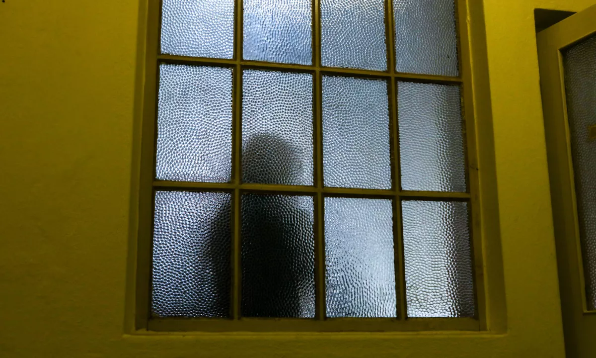 Na referendum 23. novembra: o čem bomo v resnici odločali