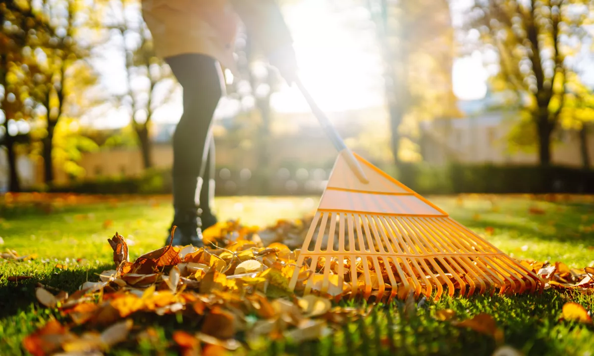 Vreme v Sloveniji: Mirno jesensko vreme z jutranjo meglo in prijetnimi temperaturami