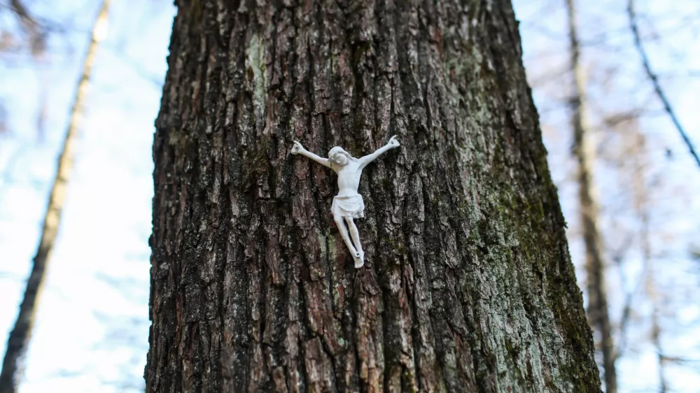 - 20.02.2024. - Simbolična fotografija, Jezus na drevesu, vera, krščanstvo, religija, Katoliška cerkev, religija.//FOTO: Bojan Velikonja / Foto: Bojan Velikonja