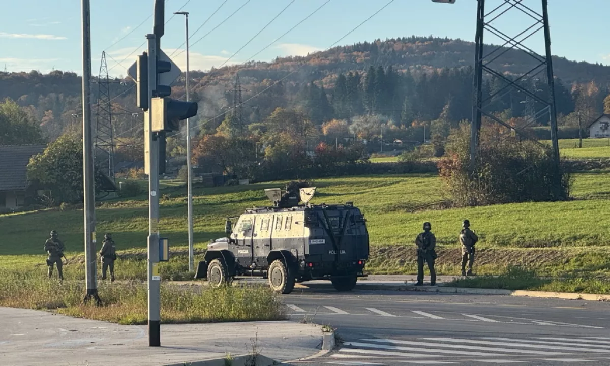 Policija okrepila prisotnost na območju Novega mesta, v hišni preiskavi zasegli plinsko pištolo in gumijevko