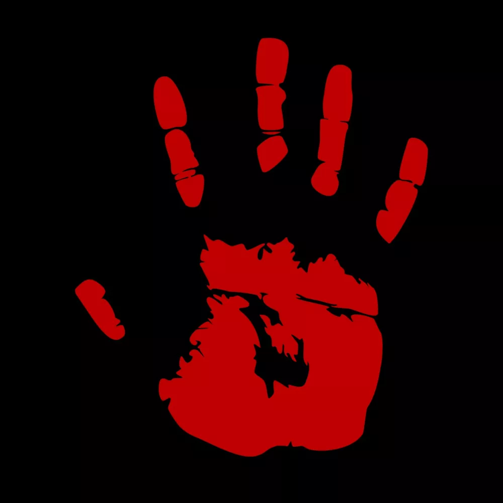 Naslovni logo novega singla Amerika glasbenega kolektiva Borghesia; gre za priredbo kultne skladbe Idolov iz osemdesetih 20. stoletja. / Foto: arhiv zasedbe