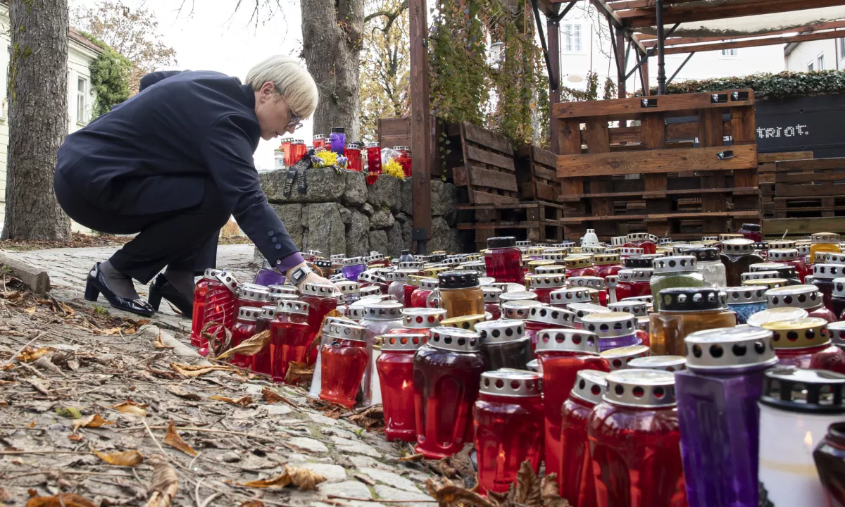 Predsednica države pred poslanci: Zavozili smo skupaj