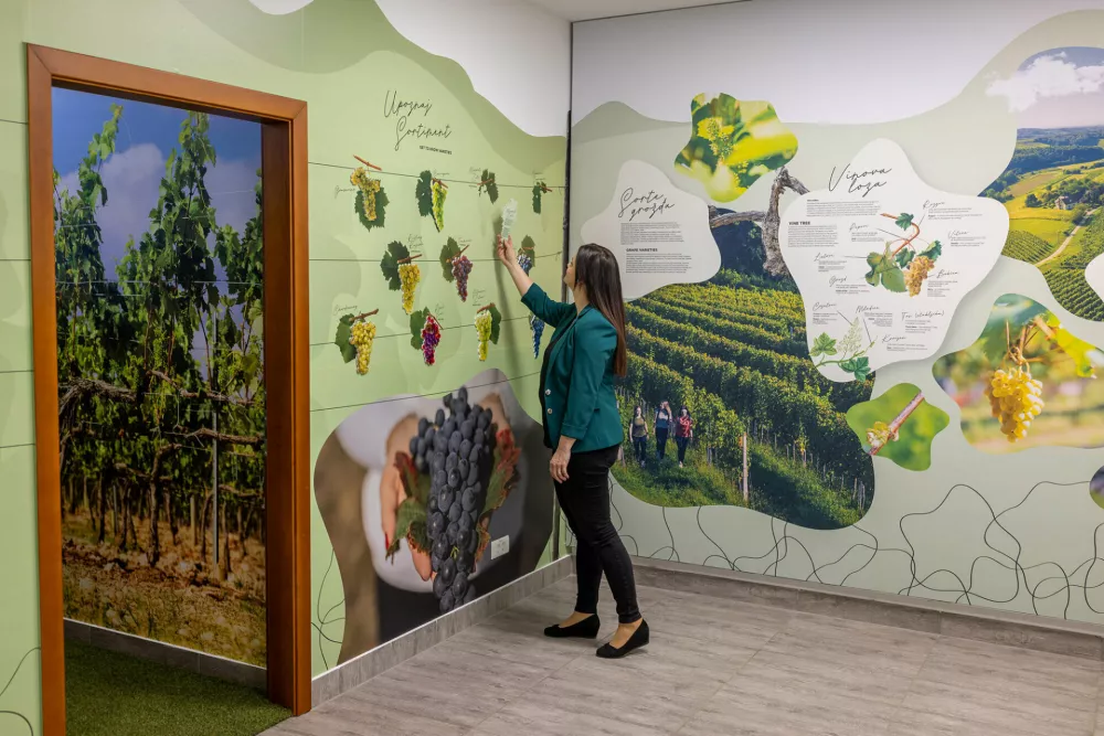 Vstop v Center je prost, prostor pa je dostopen tudi osebam z invalidnostjo. Ob Kulturnem centru Štrigova, kjer se Center nahaja, je parkirišče.