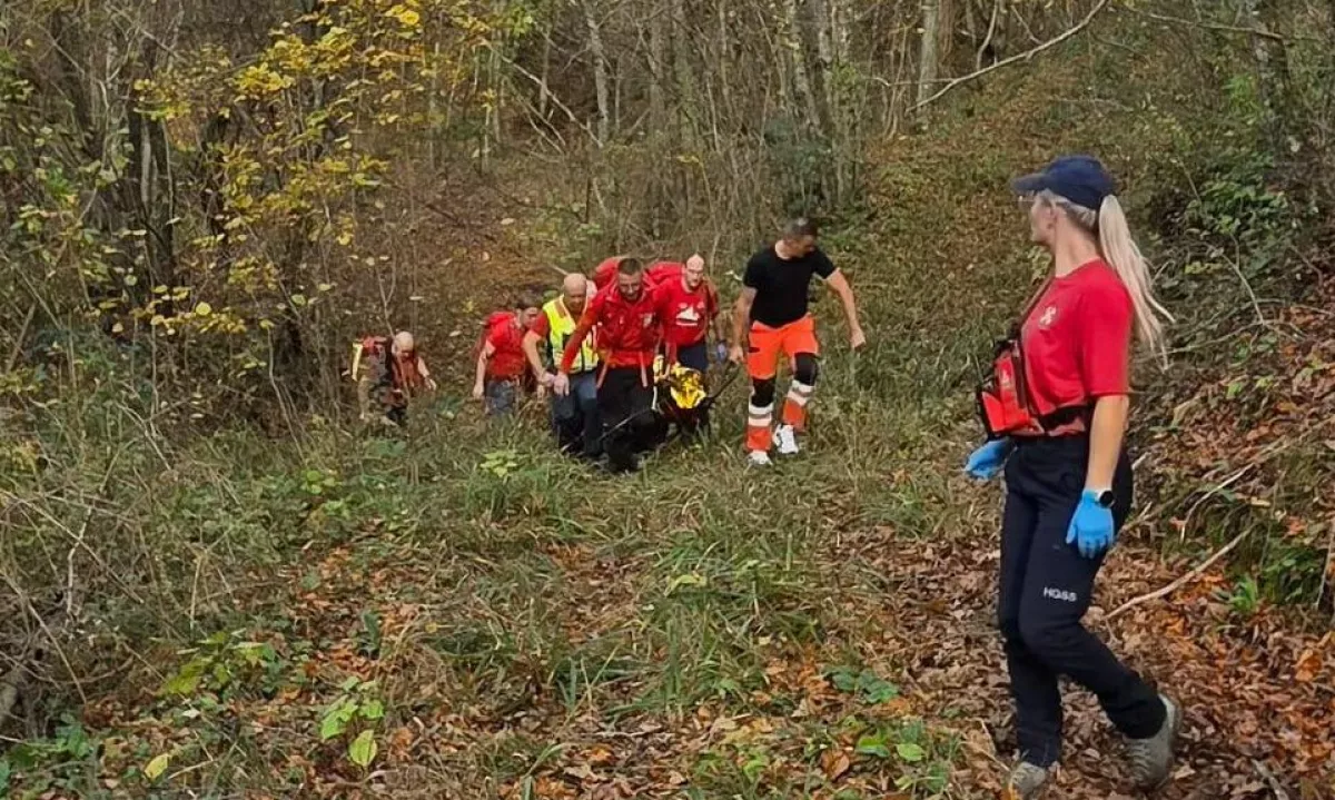 (FOTO) Po štirih dneh brez vode in hrane v gozdu našli pogrešano gospo