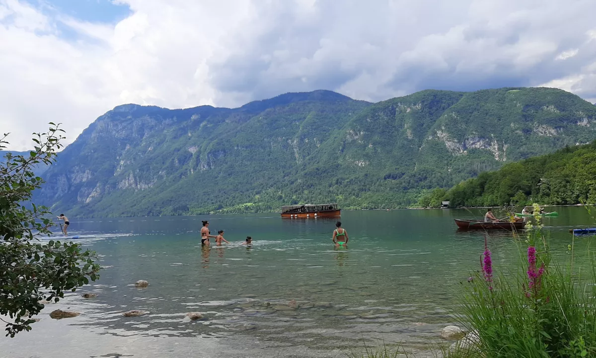 Pes v Bohinju poginil zaradi zaužitja kamenčkov, ne zaradi cianobakterij