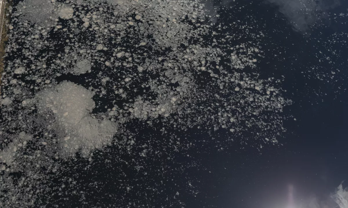 Izliv iz čistilne naprave potok Sopota v Radečah obarval modro