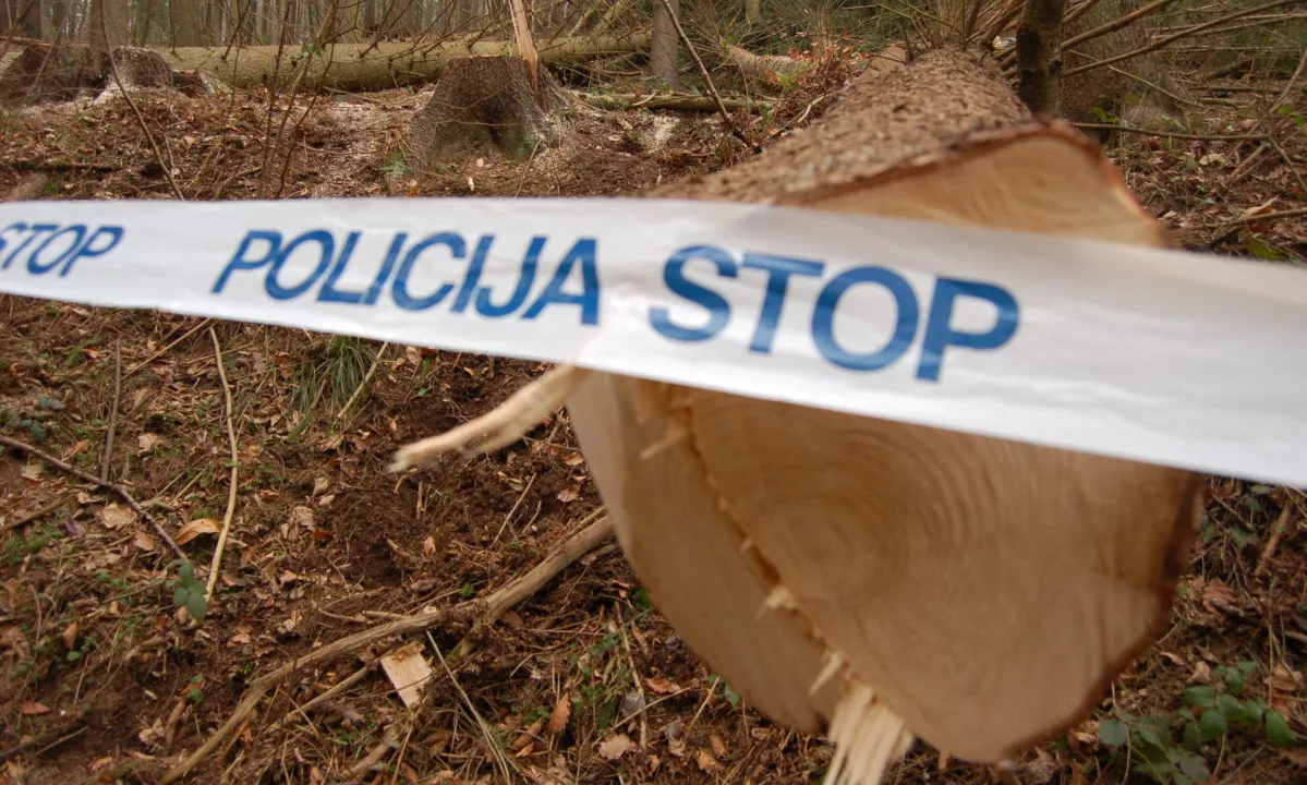 »Že sam tragičen dogodek je bil za vas najhujša kazen. Izgubili ste najboljšega prijatelja,« je v obrazložitvi razsodbe povedala sodnica.