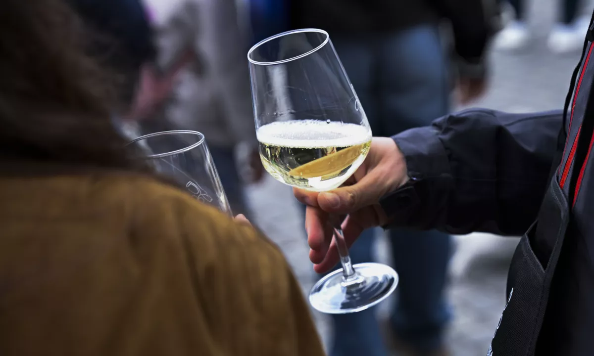 Danes se na mizi ne smejo manjkati gos, mlinci, rdeče zelje in vino.