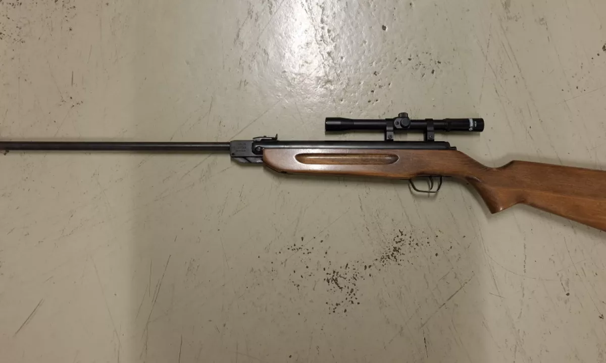 Policija v Novem mestu pri 37-letnici našla skoraj sto petard in zračno puško