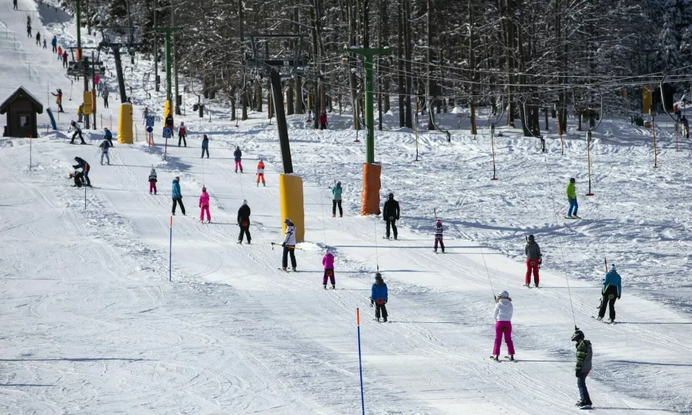 - 26.1.2019 - Kranjska gora - smu?i??e, smu?anje, smu?arji, sneg, zima, rekreacija, vle?nicaFOTO: Matja? Ru?t / Foto: Matja? Ru?t