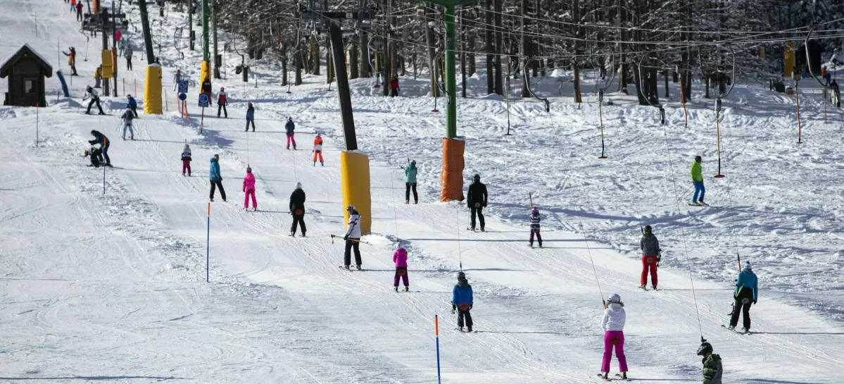 - 26.1.2019 - Kranjska gora - smu?i??e, smu?anje, smu?arji, sneg, zima, rekreacija, vle?nicaFOTO: Matja? Ru?t / Foto: Matja? Ru?t