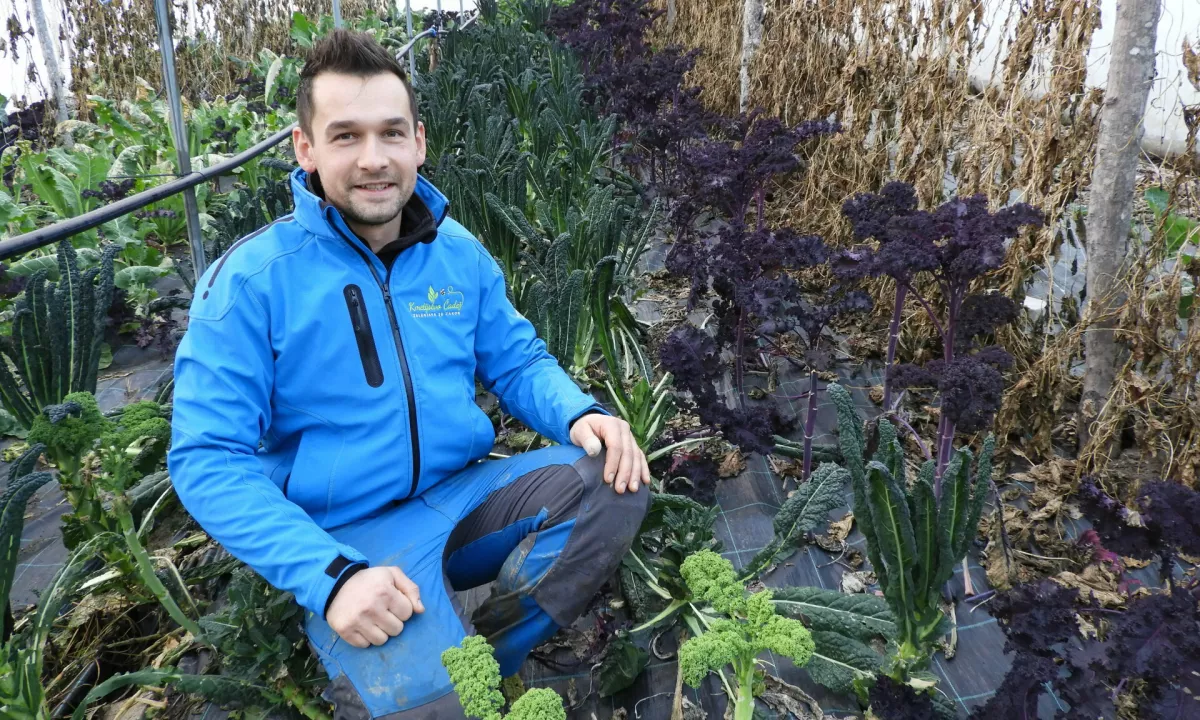 Aleš Čadež na lastnem primeru dokazuje, da je mogoče z manj dela pridelati več zelenjave, porabiti za to manj prostora, energije in manj surovin, biti ekološki in prijazen do okolja, obenem pa svoje znanje nesebično predajati drugim.