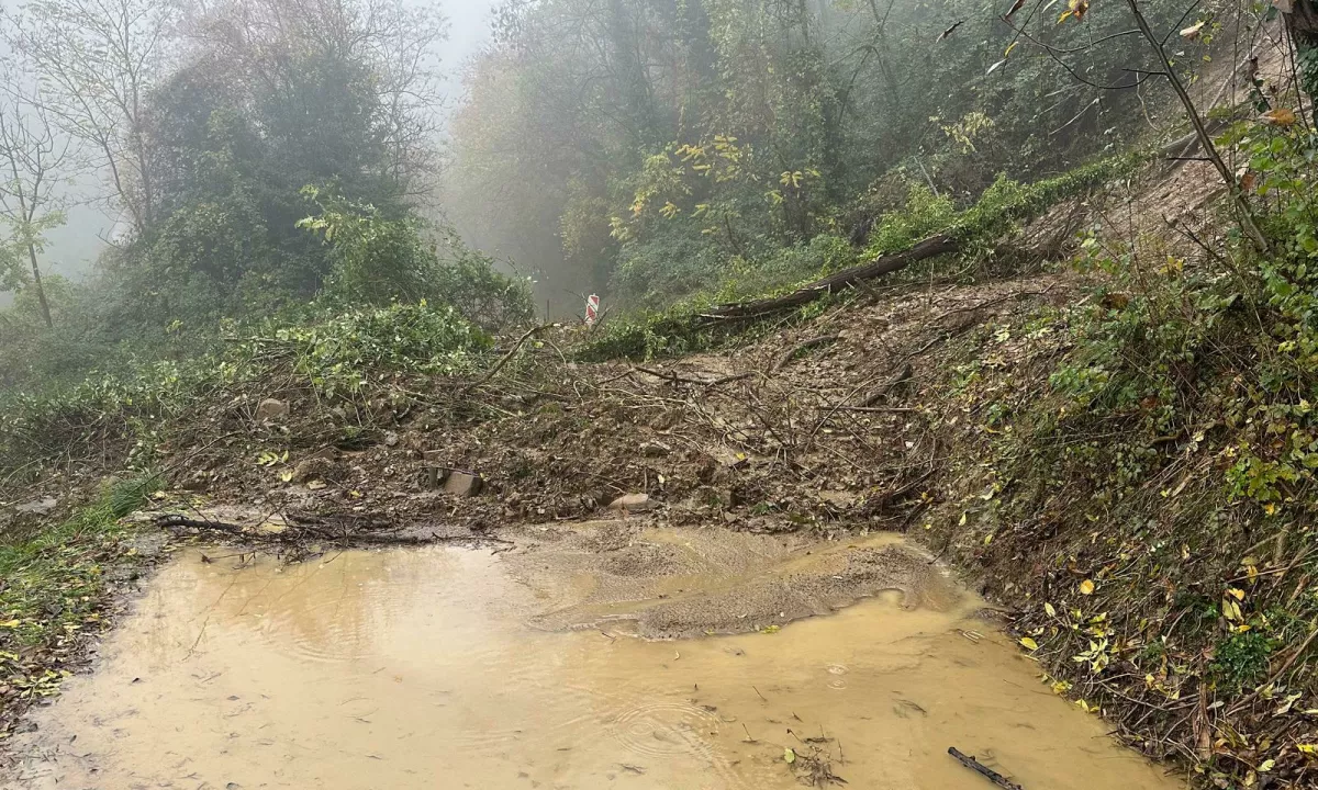 Zaradi napovedanih padavin povečana nevarnost zemeljskih plazov na zahodu Slovenije