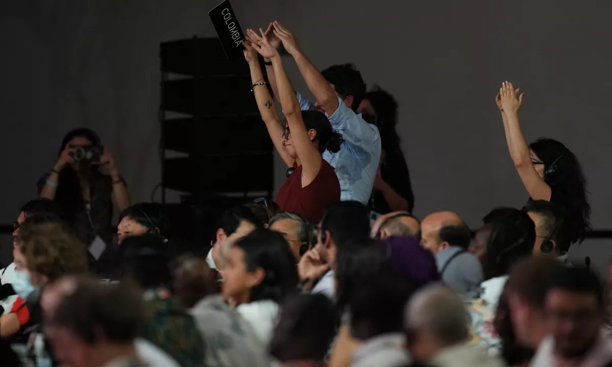 Na podnebni konferenci dogovor brez načrta za fosilna goriva