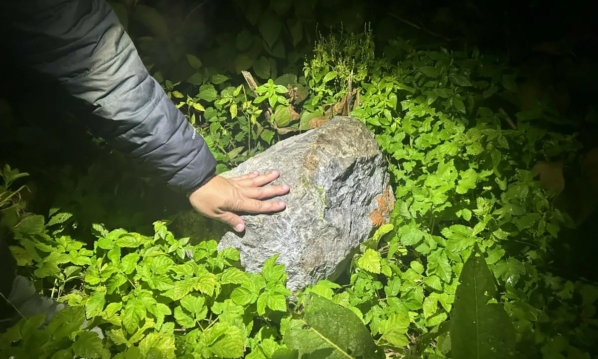 Grosuplje: Aretirali osumljence, ki so prerezali kable na železniški progi