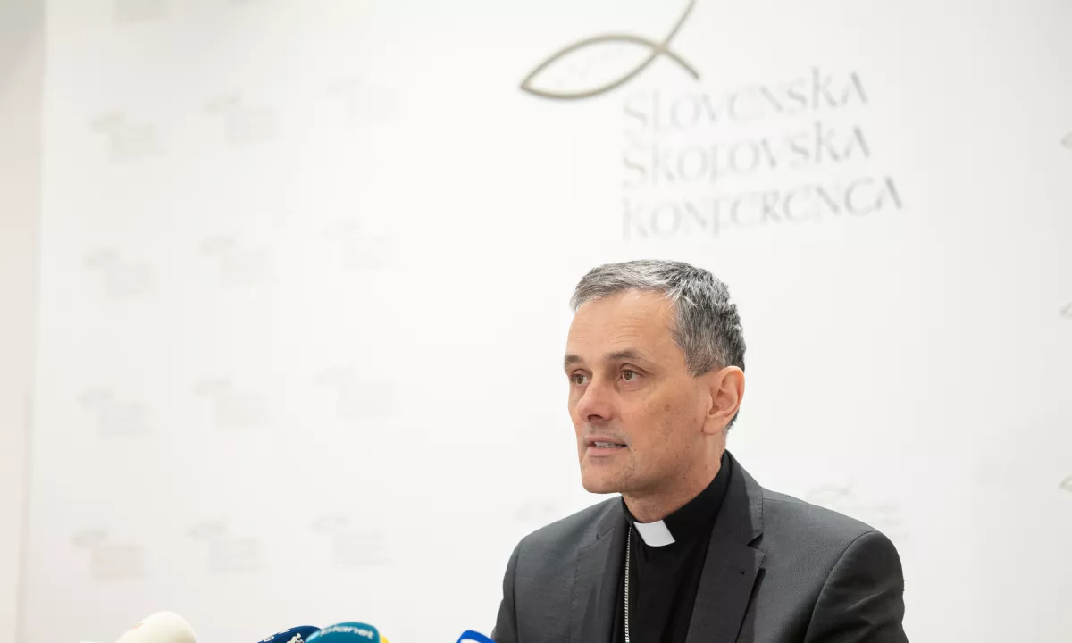 Škof Saje: Referendum je potrdil nedotakljivost življenja